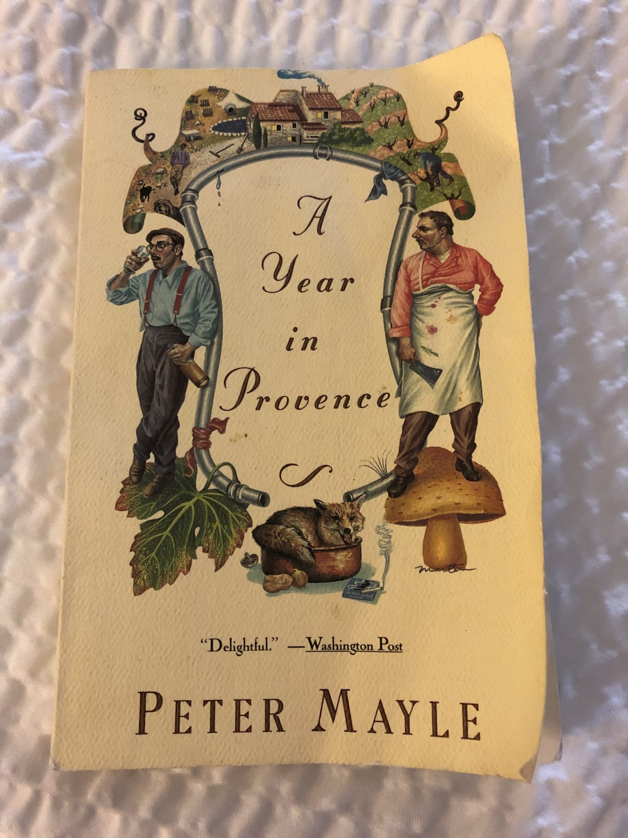 a year in provence book review